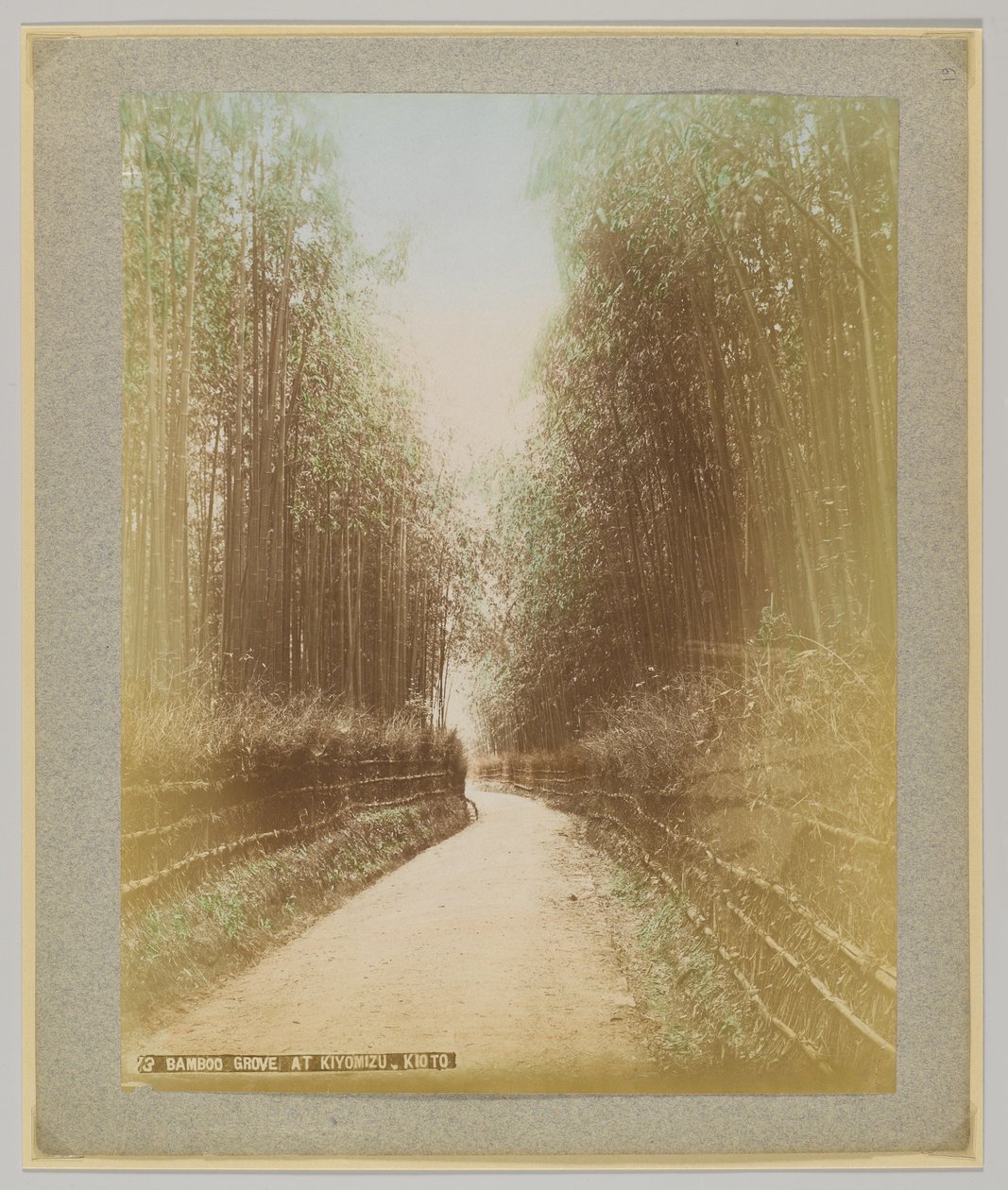 Bamboo Grove w Kiyomizu, Kioto, Japonia (ręcznie kolorowane czarno-białe zdjęcie) autorstwa Japanese Photographer