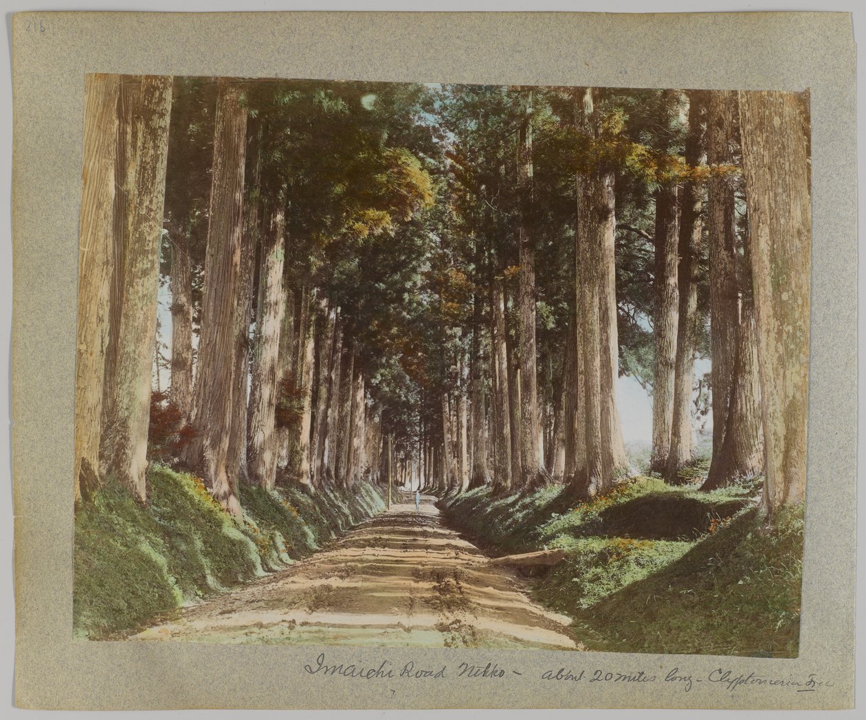 Imaichi Road, Nikko, Japonia (ręcznie kolorowane czarno-białe zdjęcie) autorstwa Japanese Photographer
