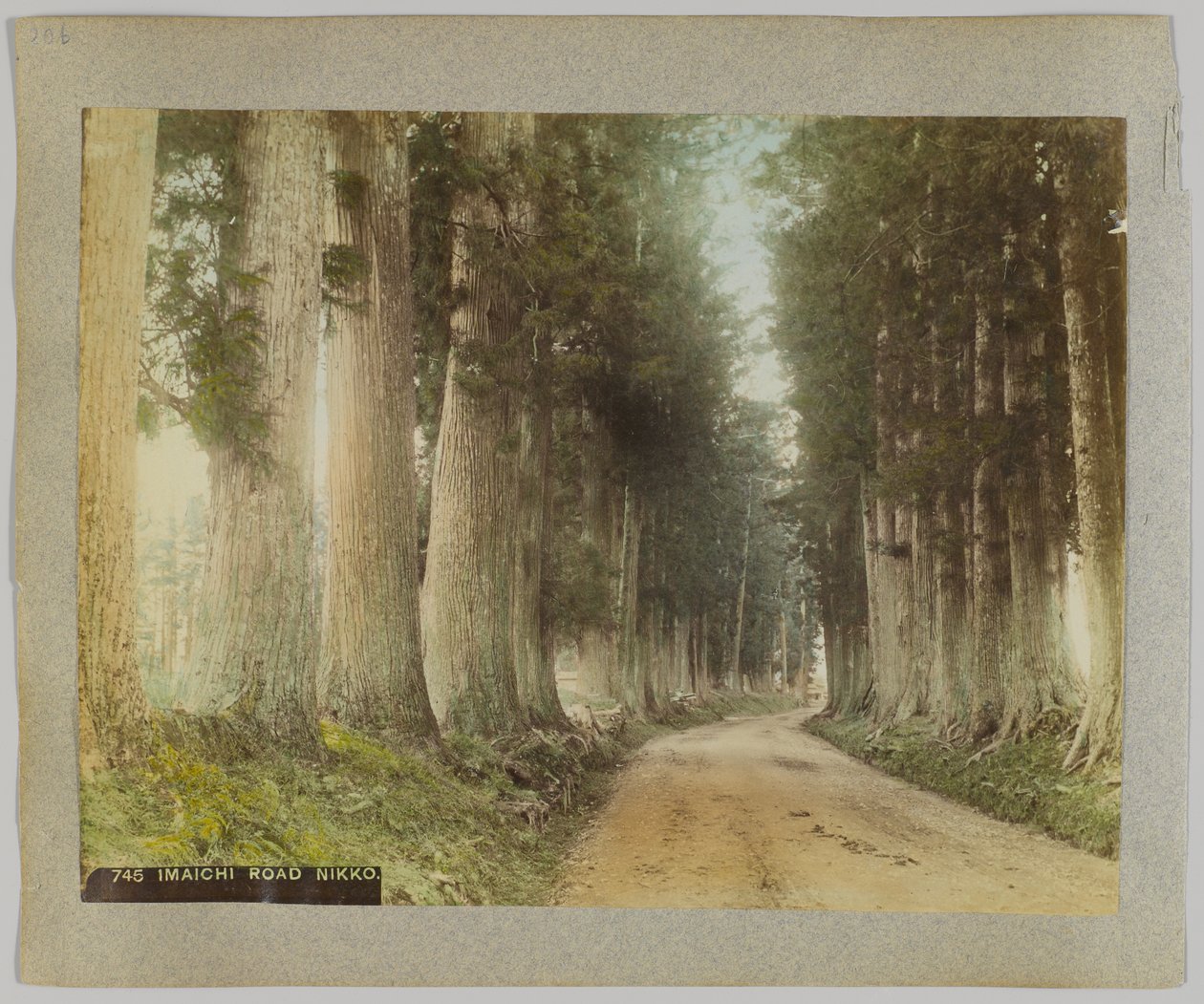 Imaichi Road, Nikko, Japonia (ręcznie kolorowane czarno-białe zdjęcie) autorstwa Japanese Photographer