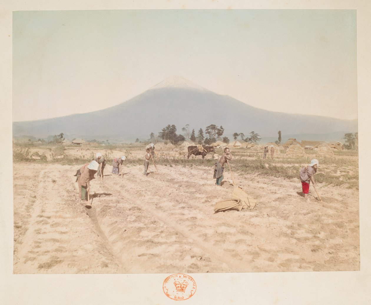 Góra Fuji i pola uprawne, z Księgi kolorowych fotografii widoków w Japonii autorstwa Japanese Photographer