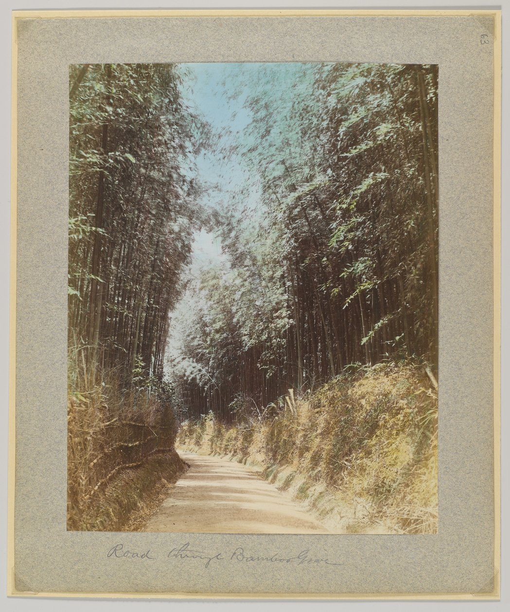 Droga przez bambusowy gaj, Japonia (ręcznie kolorowane czarno-białe zdjęcie) autorstwa Japanese Photographer