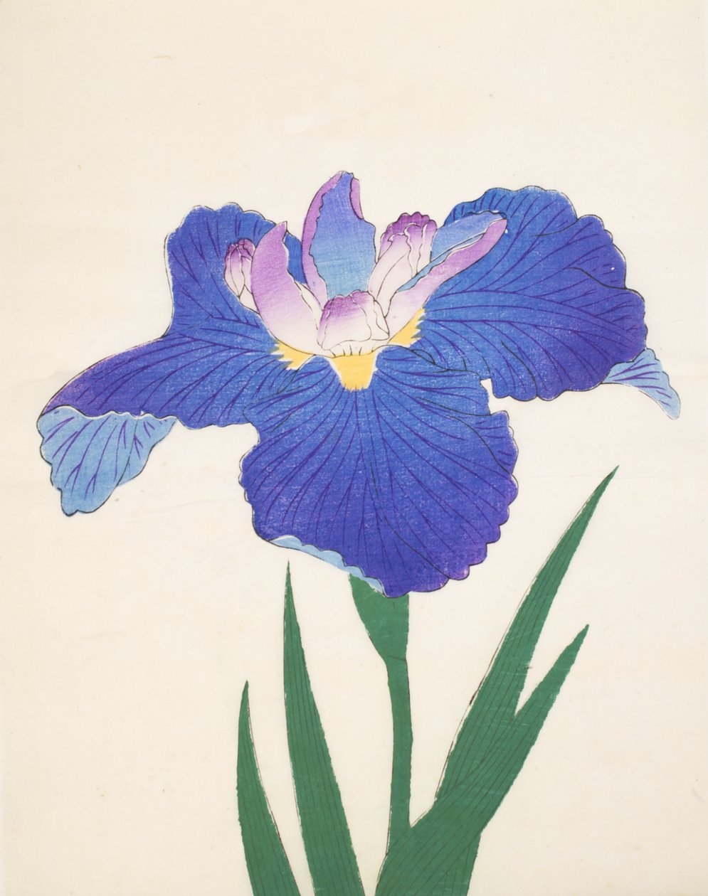 Niebieski typ E. 30, 1898 r autorstwa Japanese School