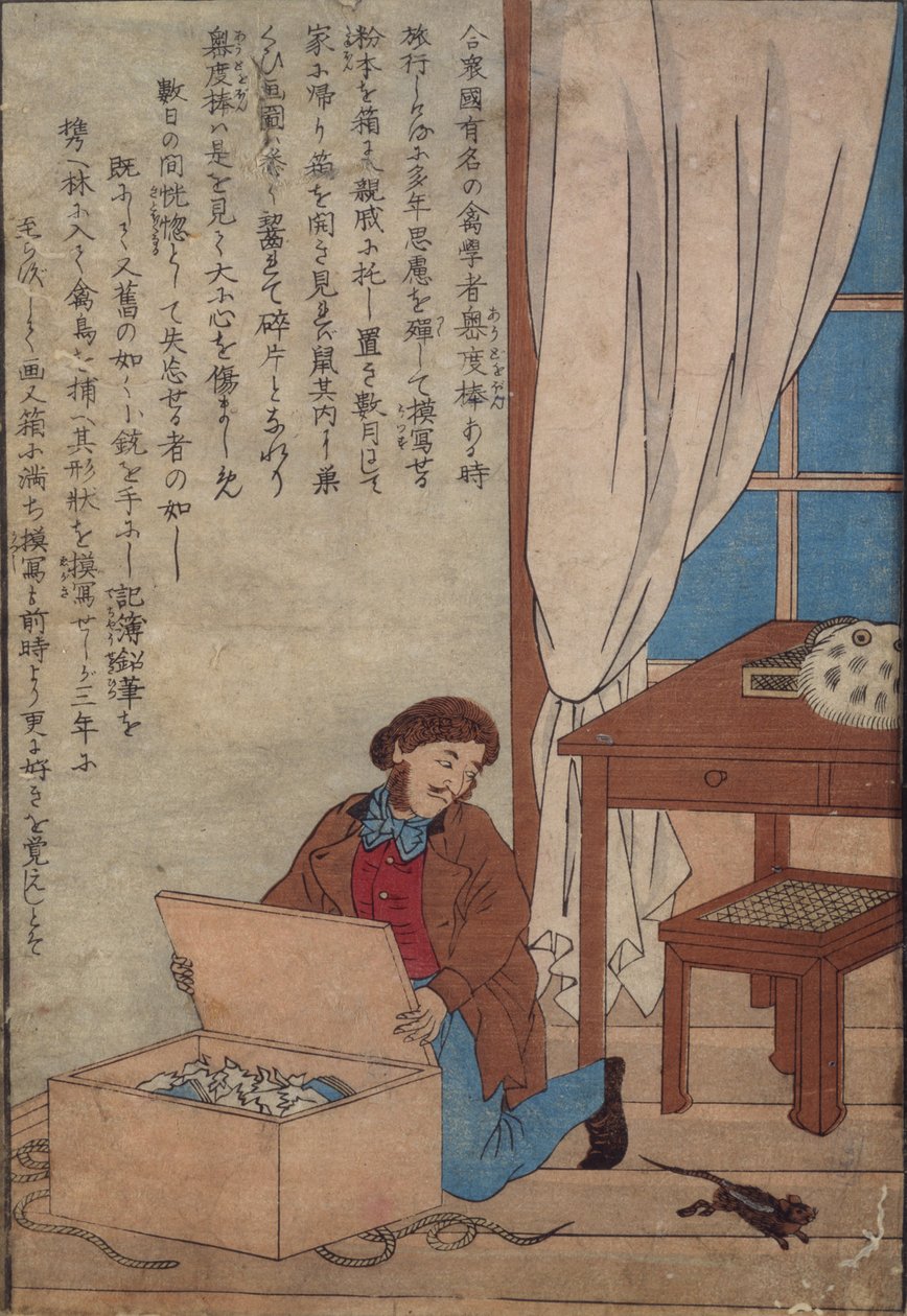 Audubon otwiera swoje pudełko z akwarelami zniszczone przez szczury norweskie, ok. 1872-77 autorstwa Japanese School