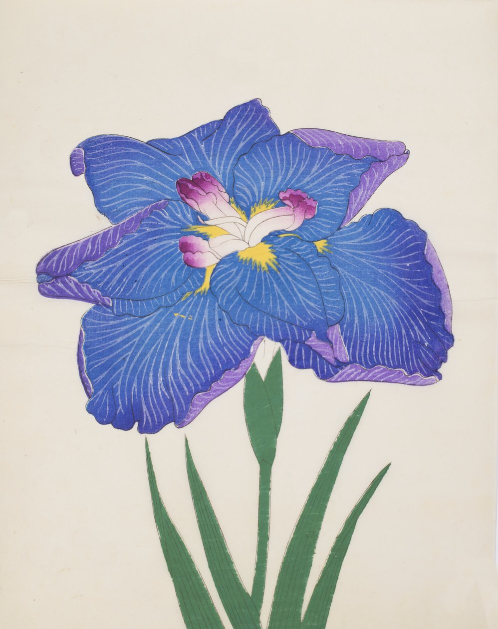 Azumabotan, nr 89, 1890 (kolorowa odbitka drzeworytnicza) autorstwa Japanese School