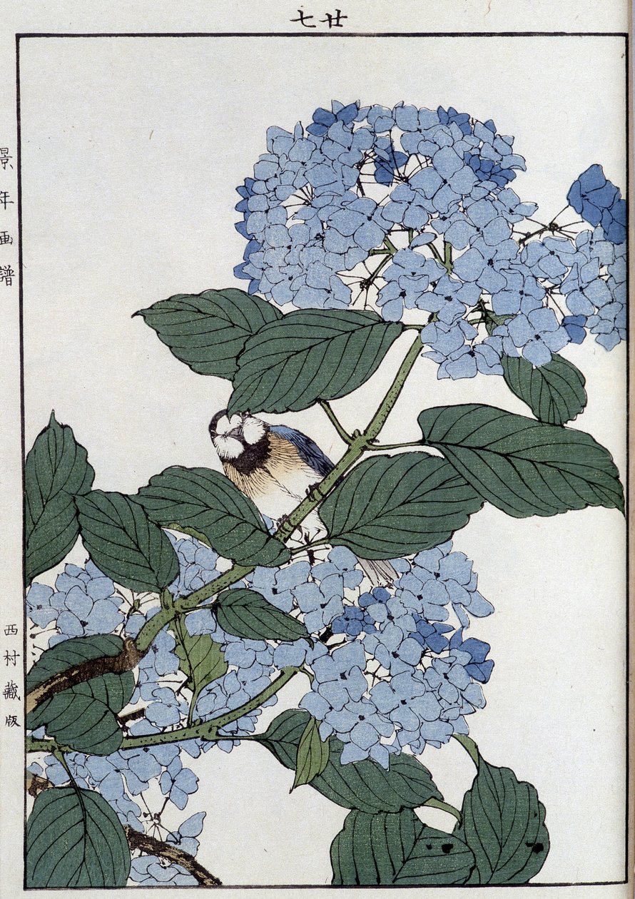 Ptak w hortensjach - nadruk japoński autorstwa Japanese School
