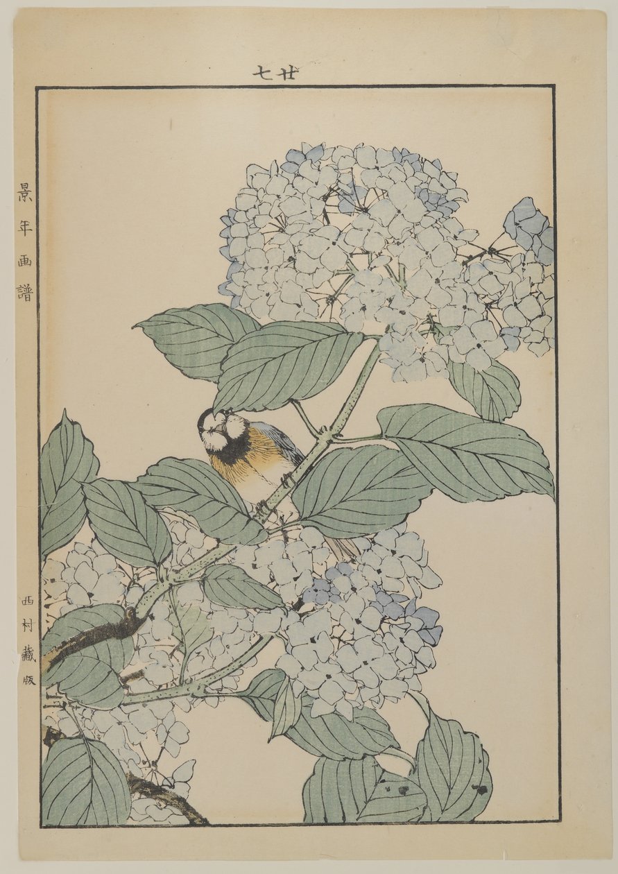Ptak z hortensją, okres Meiji, ok. 1868-1912 (kolorowa odbitka drzeworytnicza) autorstwa Japanese School