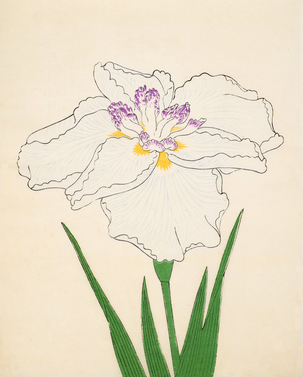 Cho-Hiyen, nr 91, 1890 (kolorowa odbitka drzeworytnicza) autorstwa Japanese School