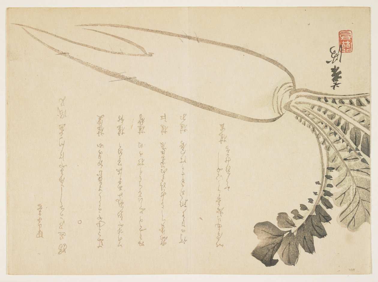 Rzodkiew Daikon, styczeń 1864 (kolorowy drzeworyt) autorstwa Japanese School