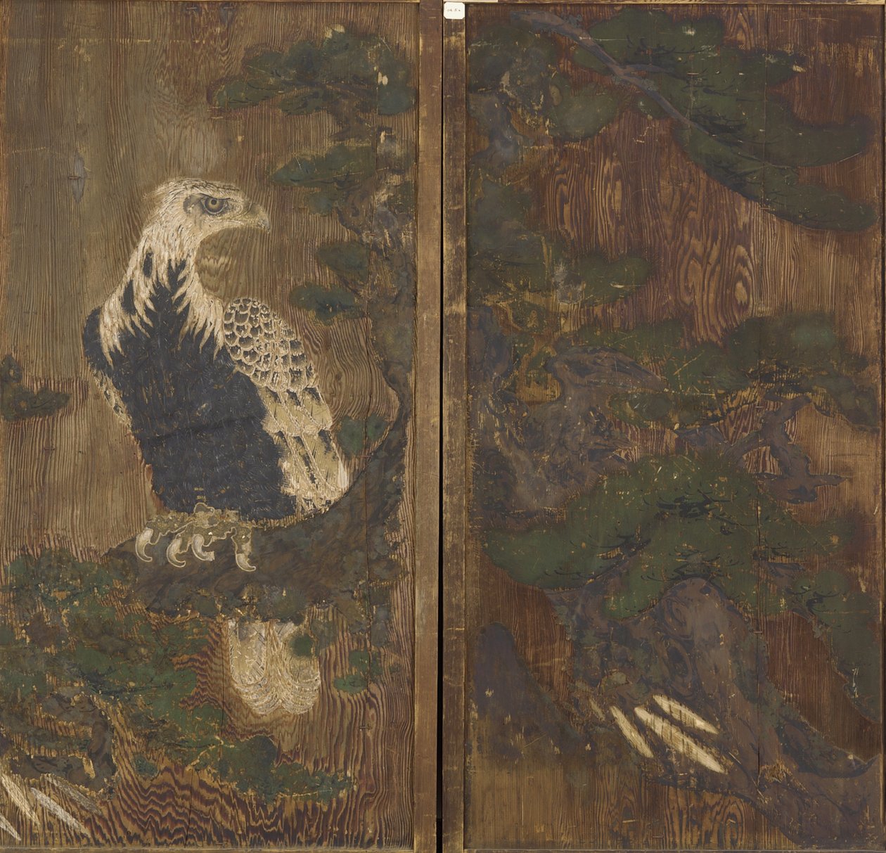 Orzeł na sośnie, okres Momoyama, prawdopodobnie XVII wiek (tusz i kolor na drewnie) autorstwa Japanese School