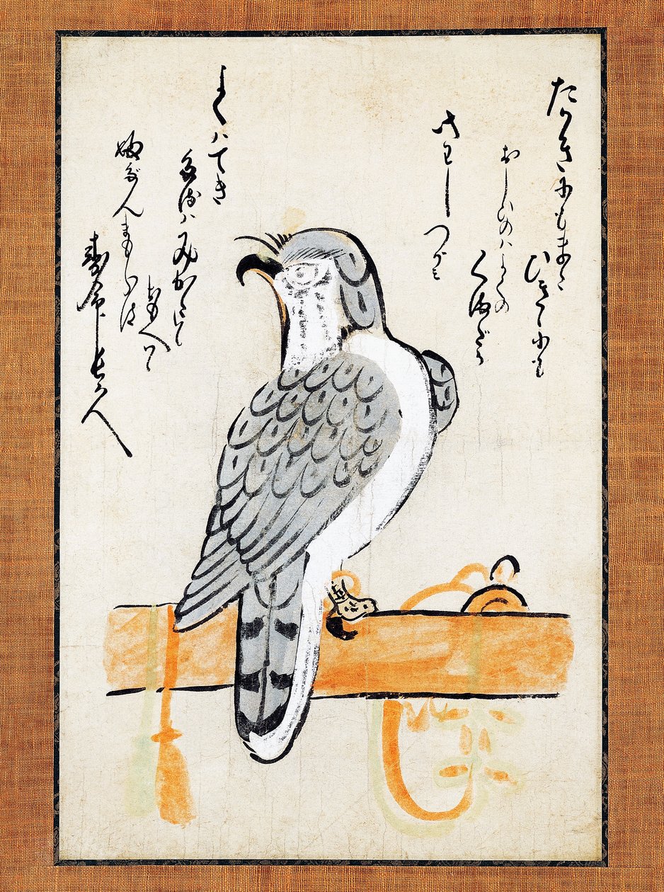 Sokół na uwięzi, ilustracja na pionowej rolce, koniec XIX wieku, tusz i kolor na papierze, 43x2,5 cm, cywilizacja japońska, okres Meiji autorstwa Japanese School