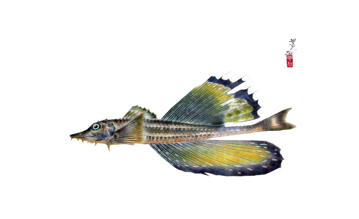 Gyotaku autorstwa Japanese School
