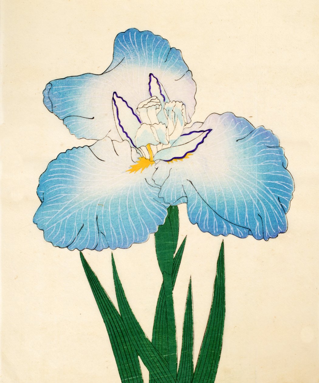 Irojiman, nr 80, 1890 (kolorowa odbitka drzeworytnicza) autorstwa Japanese School