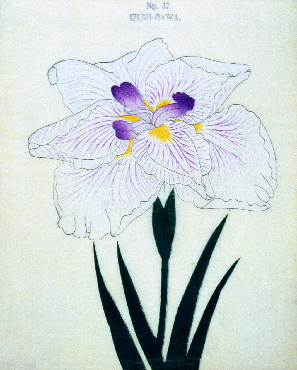 Po stronie Izumi. 37, 1898 r autorstwa Japanese School