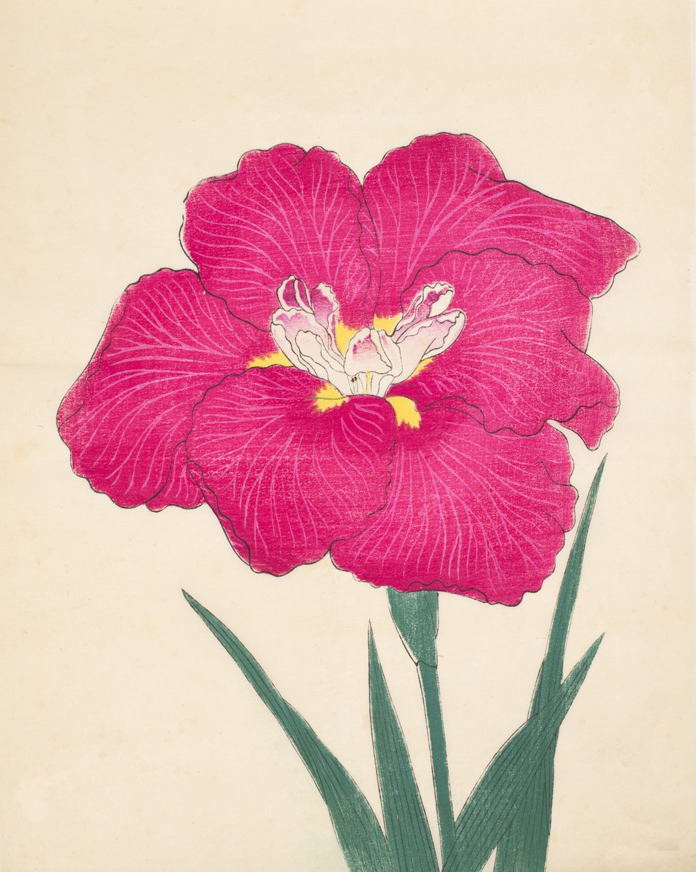 Dzień Kagi Lee, z dnia. 38, 1890 r autorstwa Japanese School