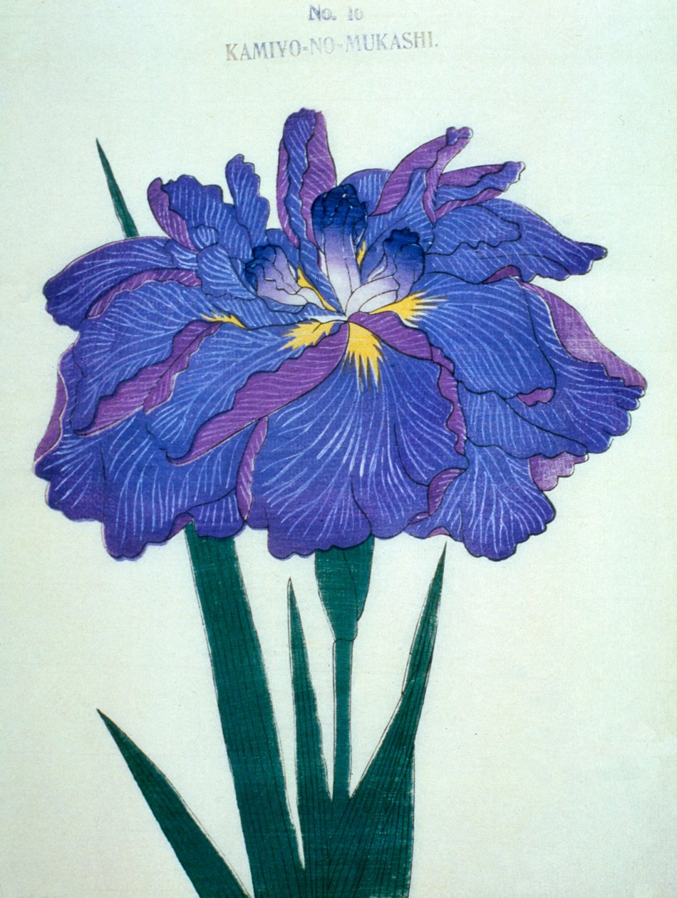 Do zobaczenia. -Stare czasy. 16, 1898 r autorstwa Japanese School