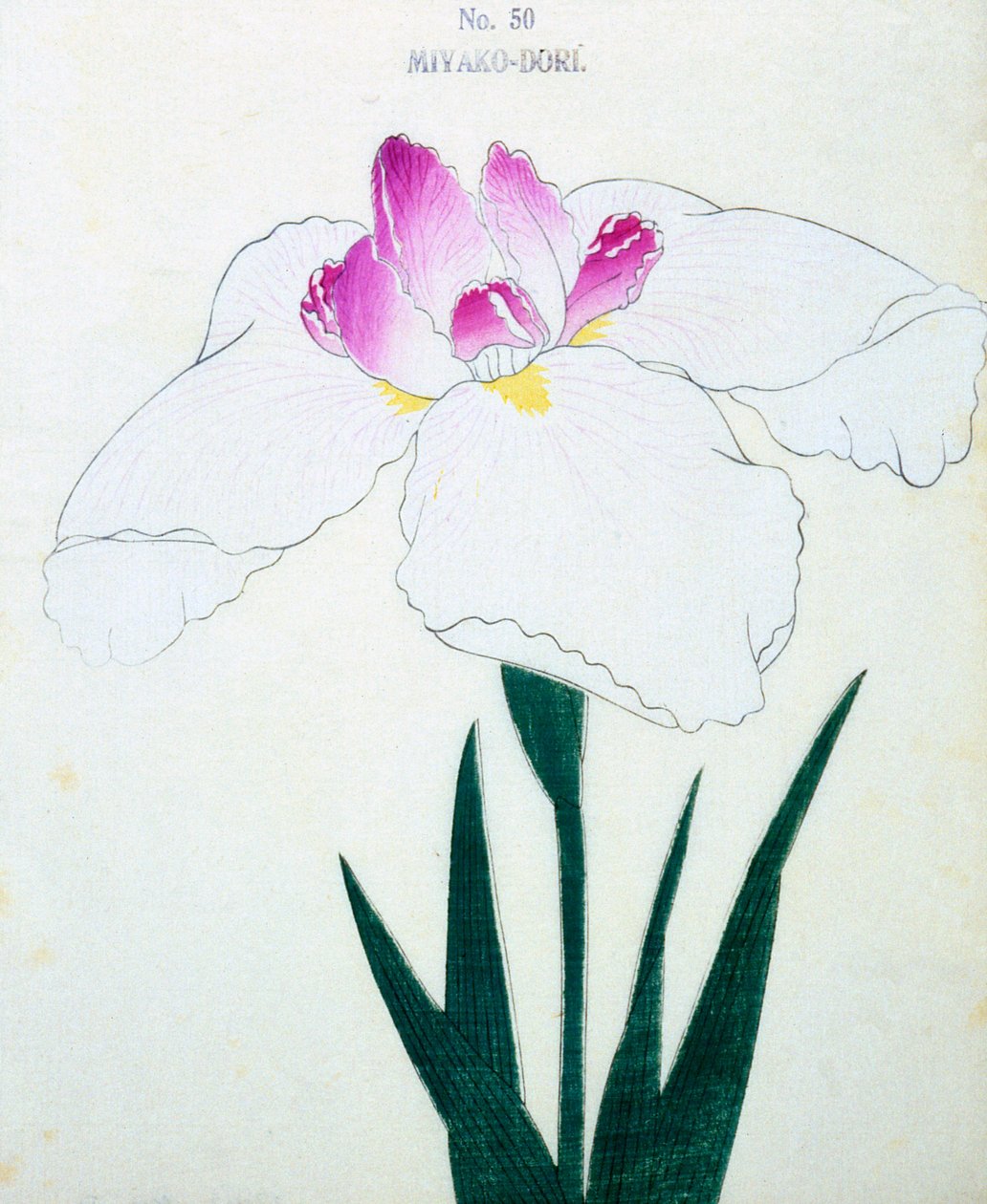 Co jest stolicą? 50, 1898 r autorstwa Japanese School