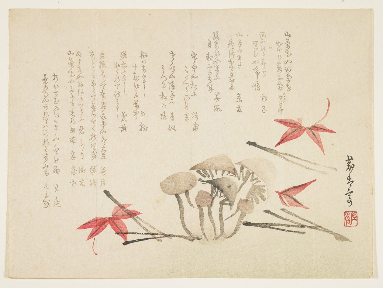 Grzyby, liście klonu i igły sosnowe (kolorowy drzeworyt) autorstwa Japanese School