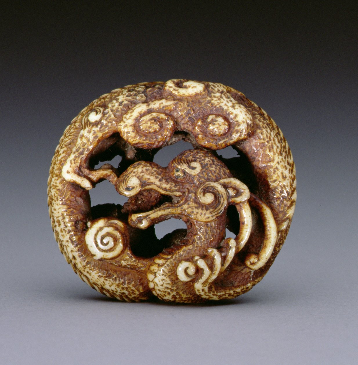 Netsuke przedstawiający smoka wodnego, ok. 1870-80 (poroże jelenia) autorstwa Japanese School