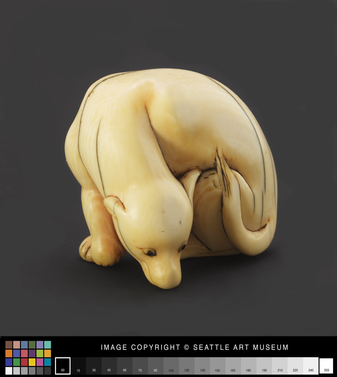 Netsuke wzorowany na półleżącym psie, wcześnie XIX wiek (kość słoniowa) autorstwa Japanese School