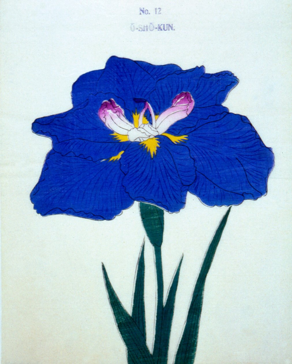 Osho-kun. 12, 1898 r autorstwa Japanese School