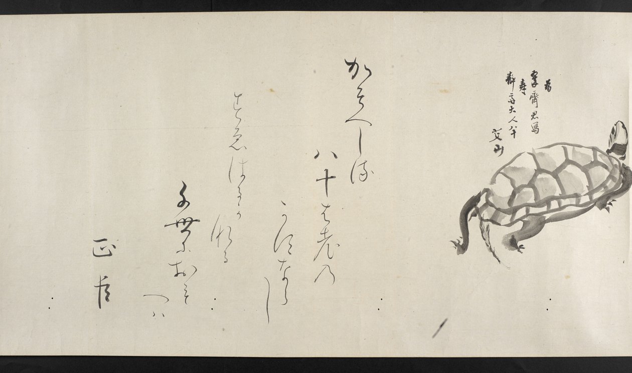 Lub. 14872, f.29, Żółw, z Yoshida Seisai (zwój) autorstwa Japanese School