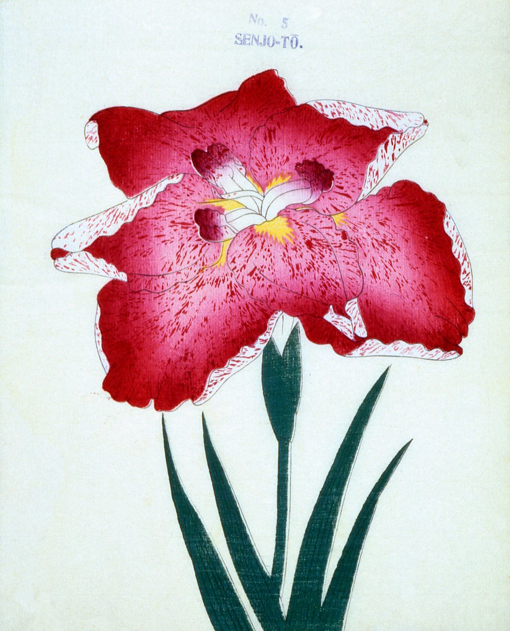 Z Senjo. 5, 1898 r autorstwa Japanese School