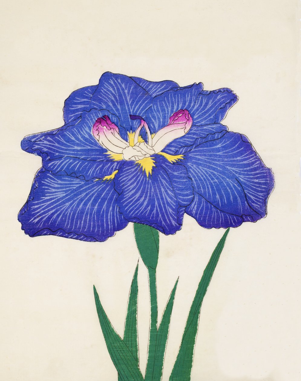 Cygara. -Wstecz fala, z. 3, 1898 r autorstwa Japanese School
