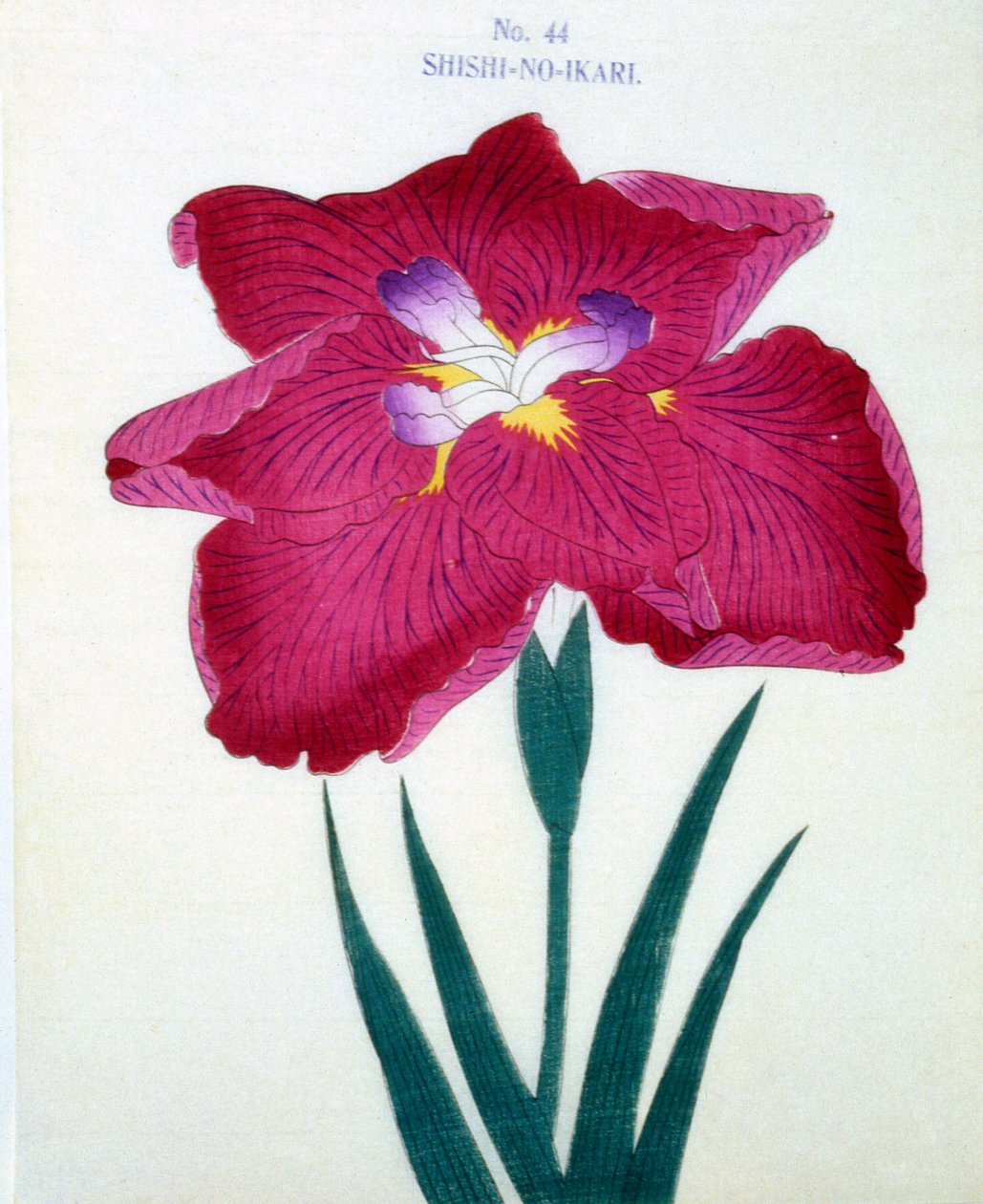 Shishi. -Zły. 44, 1898 r autorstwa Japanese School