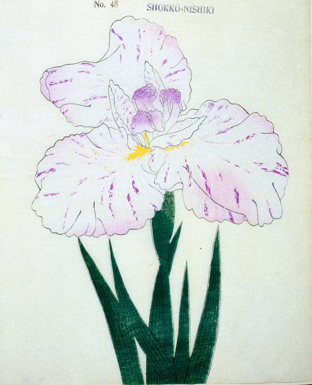 Shokko Nishiki, z. 48, 1898 r autorstwa Japanese School