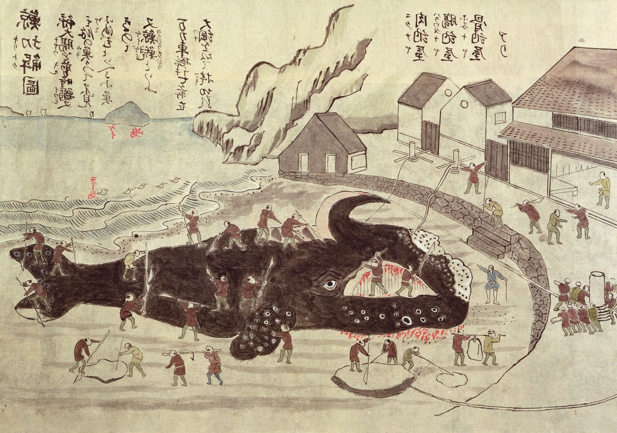 Połączenie wieloryba, koniec XIX w. (kolorowe grawerowanie) autorstwa Japanese School