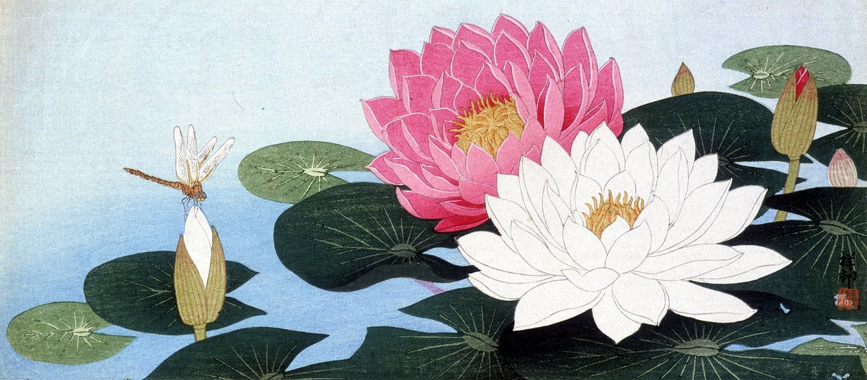 Lilie wodne i ważka - nadruk japoński autorstwa Japanese School