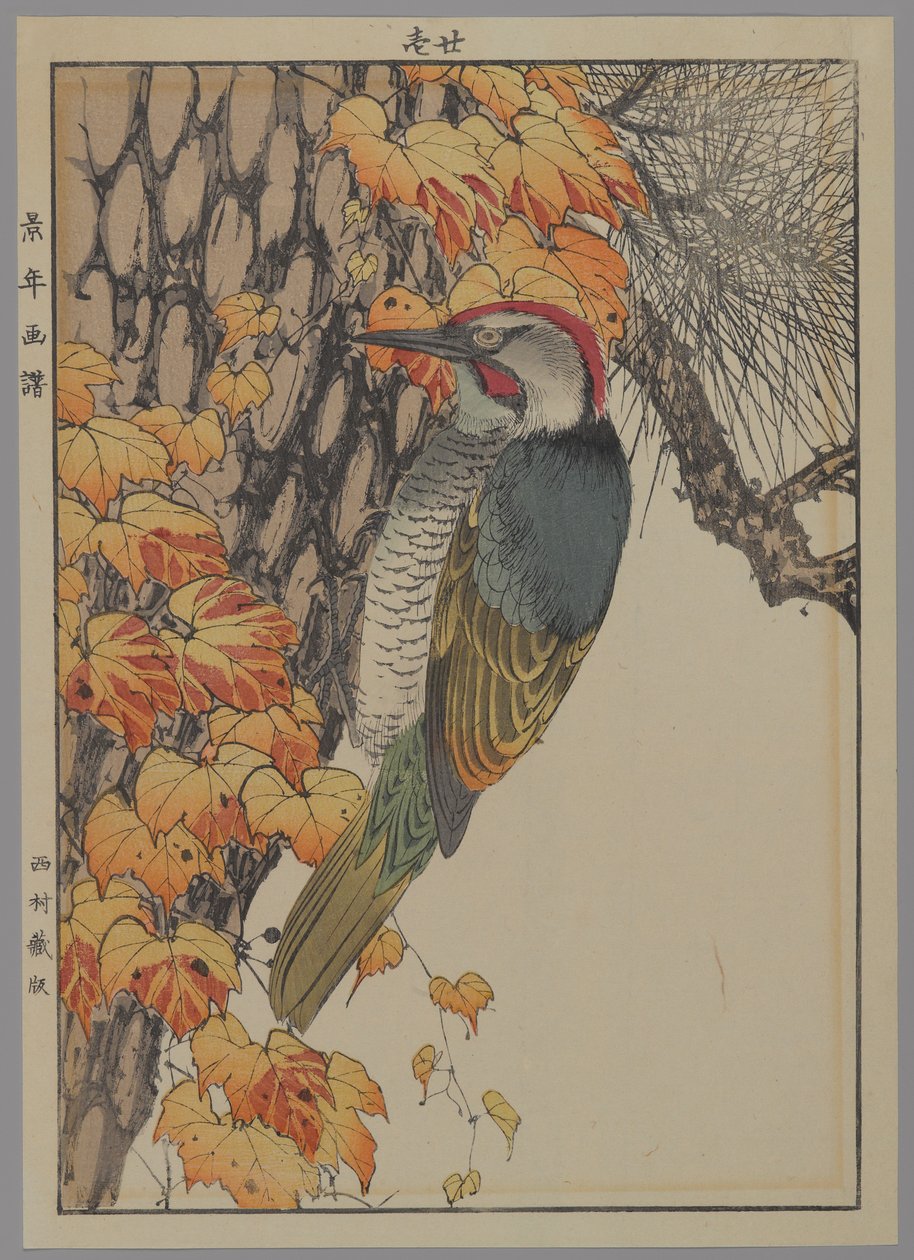 Dzięcioł, 1892 (kolorowa odbitka drzeworytnicza) autorstwa Japanese School