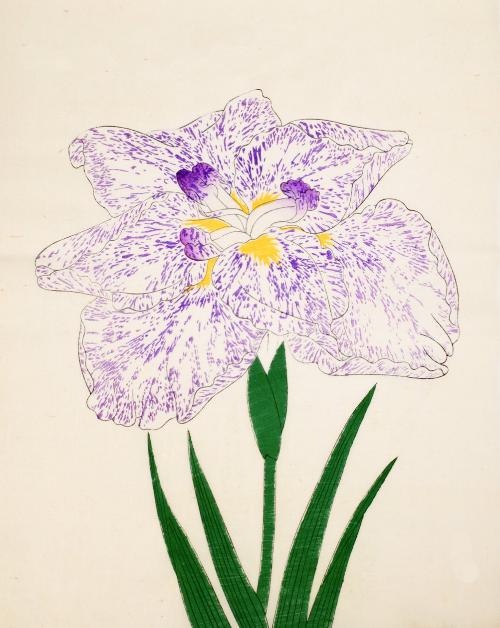 Yamato Nishiki. 31, 1890 r autorstwa Japanese School