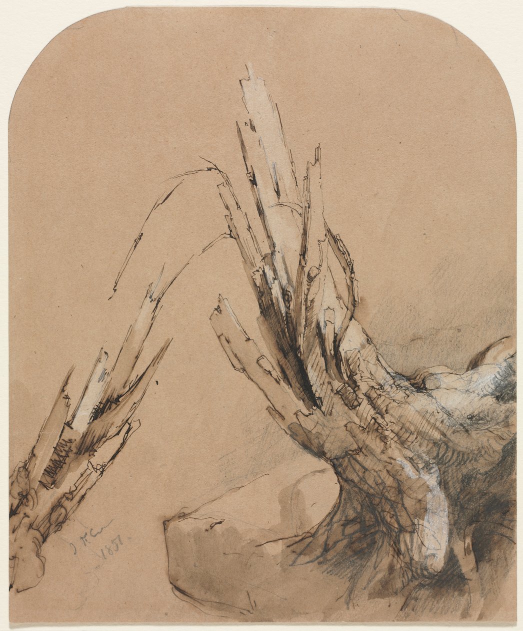 Zwalone drzewo (recto) Plan piętra (verso) autorstwa Jasper F. Cropsey