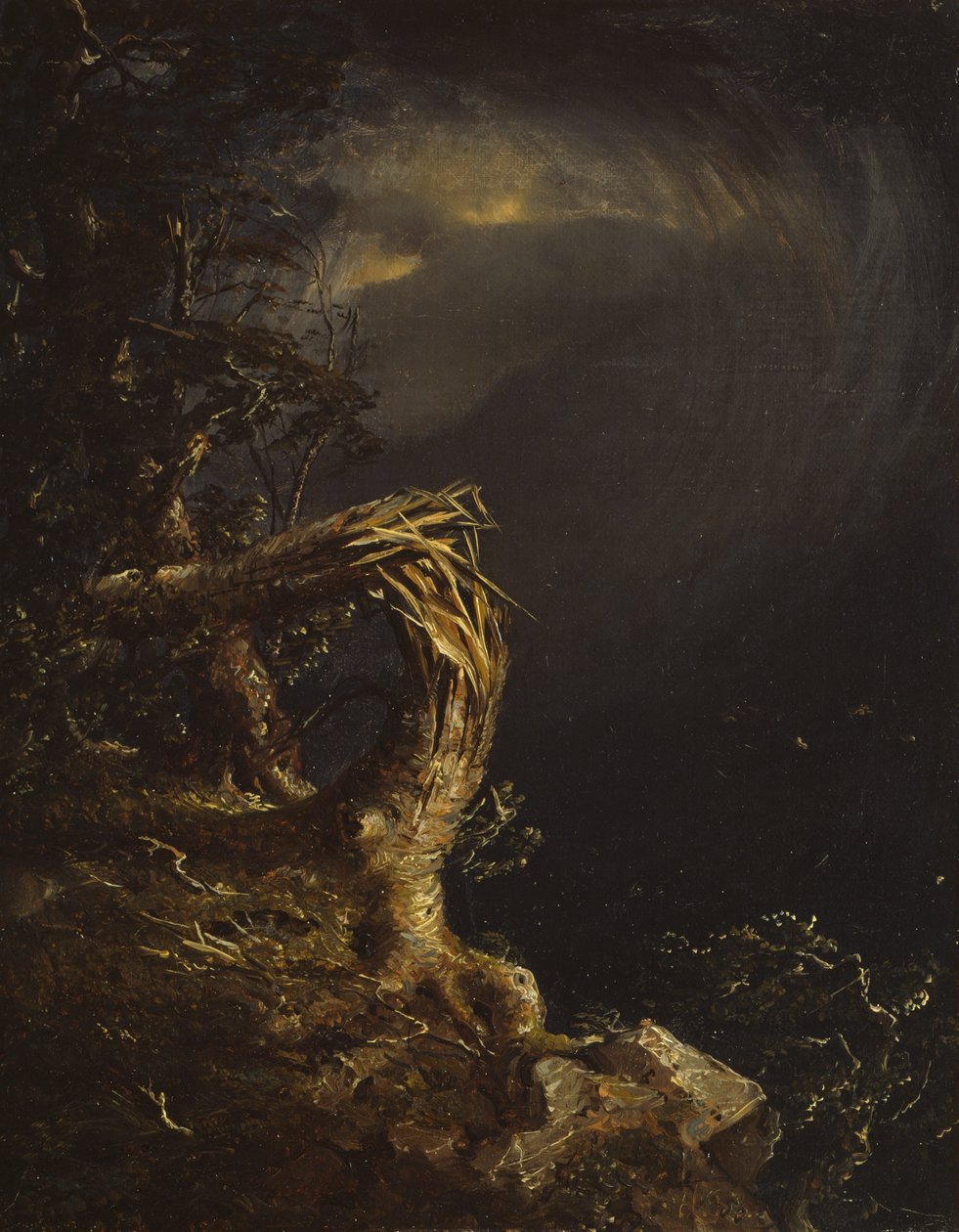 Zniszczone Drzewo autorstwa Jasper Francis Cropsey