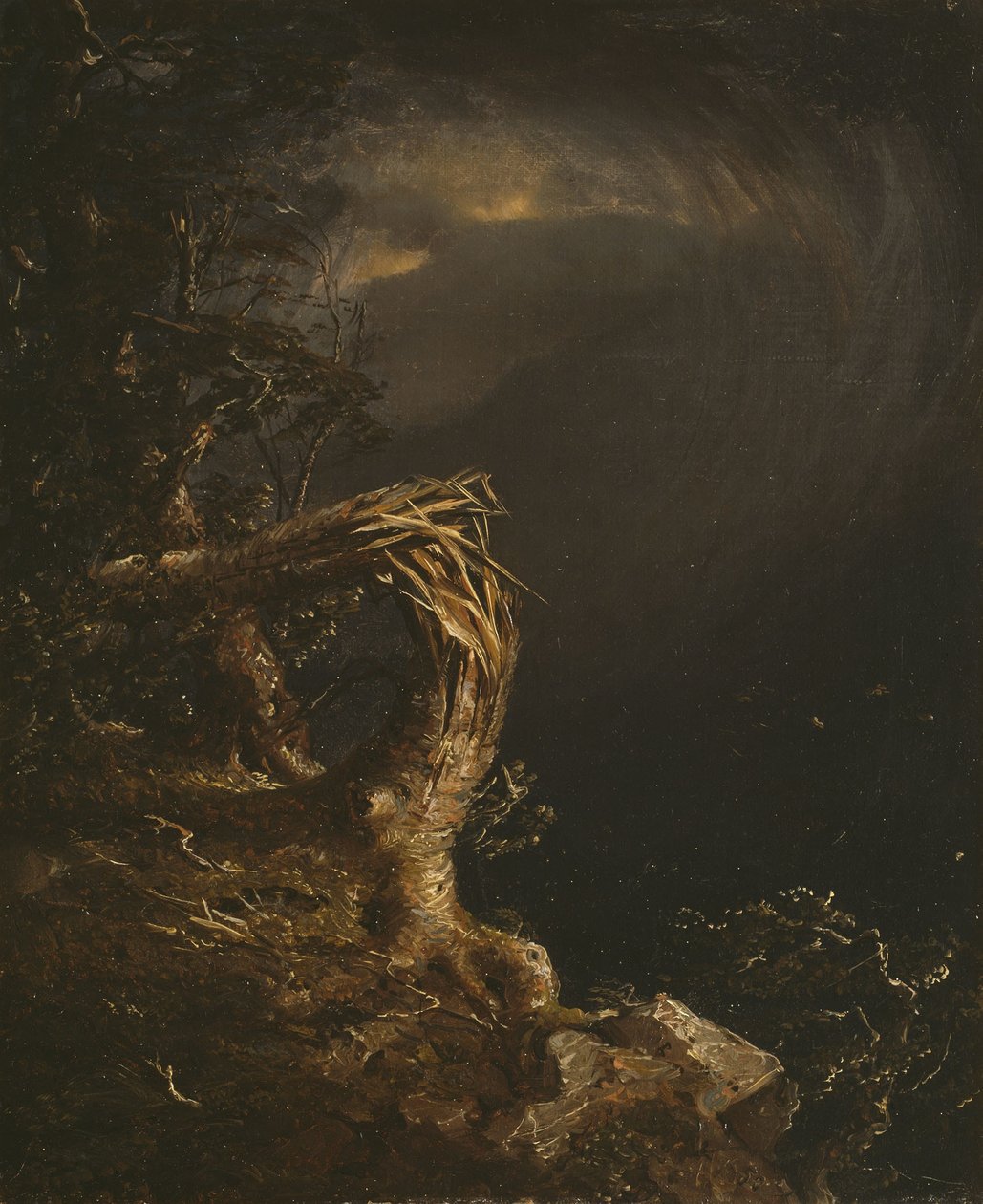 Zniszczone Drzewo autorstwa Jasper Francis Cropsey