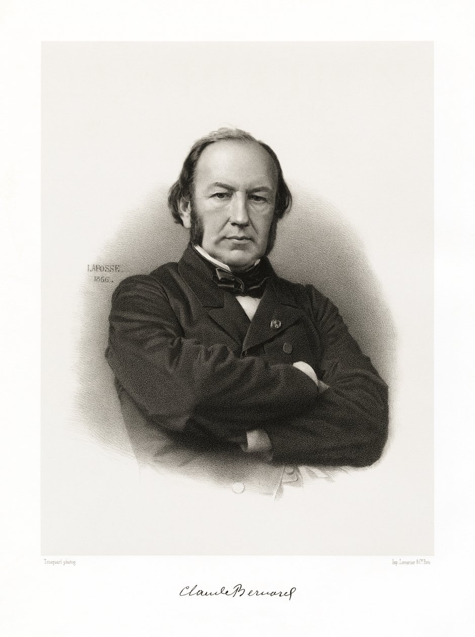 Claude Bernard autorstwa Jean Baptiste Adolphe Lafosse