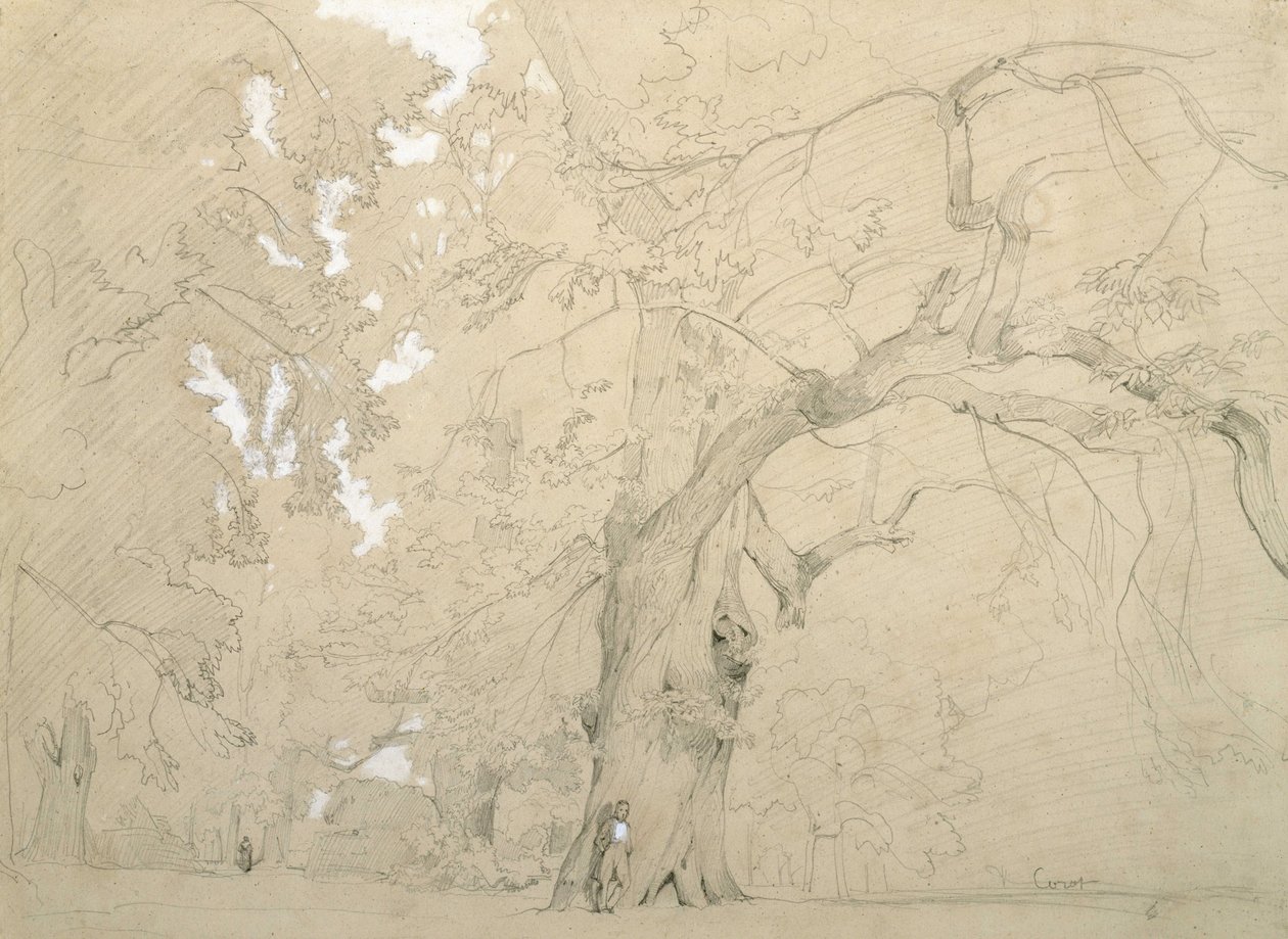Młody mężczyzna przed wielkim dębem autorstwa Jean Baptiste Camille Corot