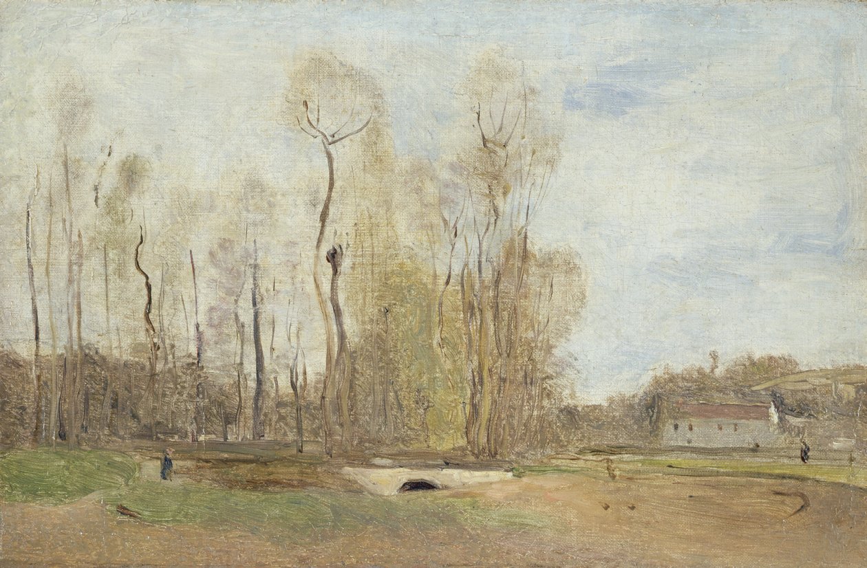 Auvers-sur-Oise: Staw Daubigny