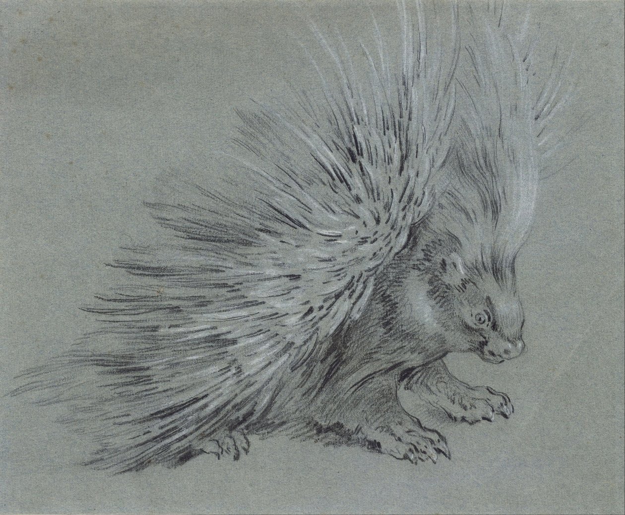 Jeżozwierz autorstwa Jean Baptiste Oudry