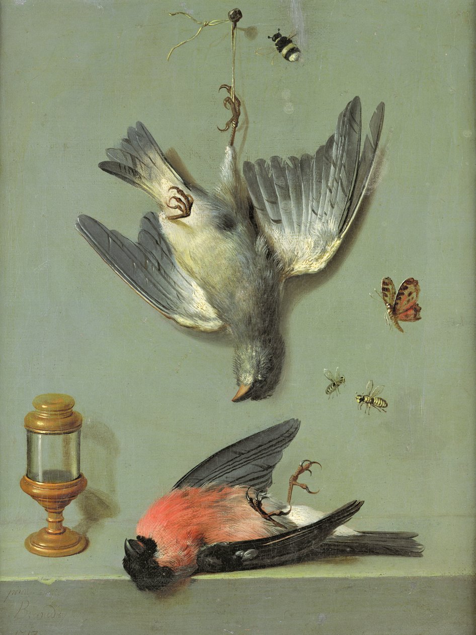 Martwa natura z ptakami i owadami, 1713 autorstwa Jean Baptiste Oudry