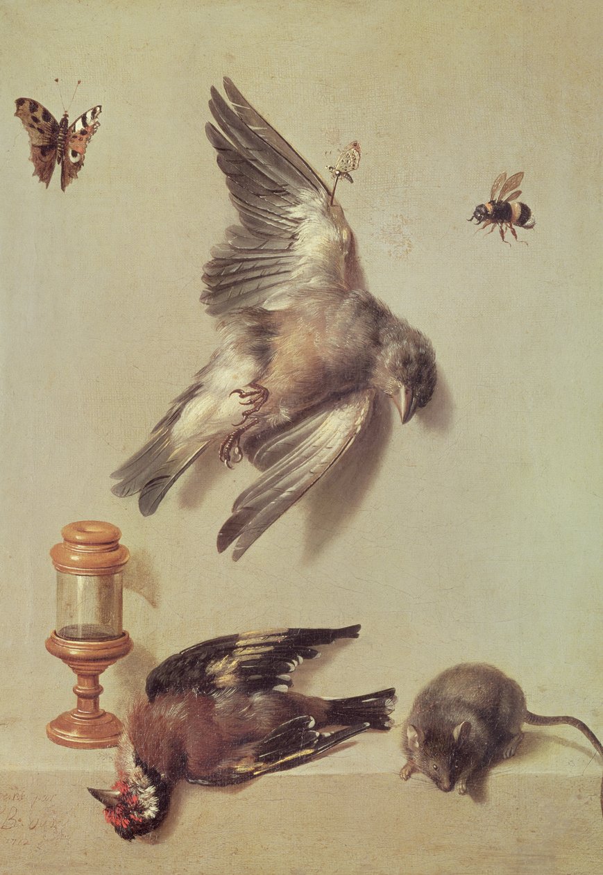 Martwa natura z martwym ptakiem i myszą, 1712 autorstwa Jean Baptiste Oudry