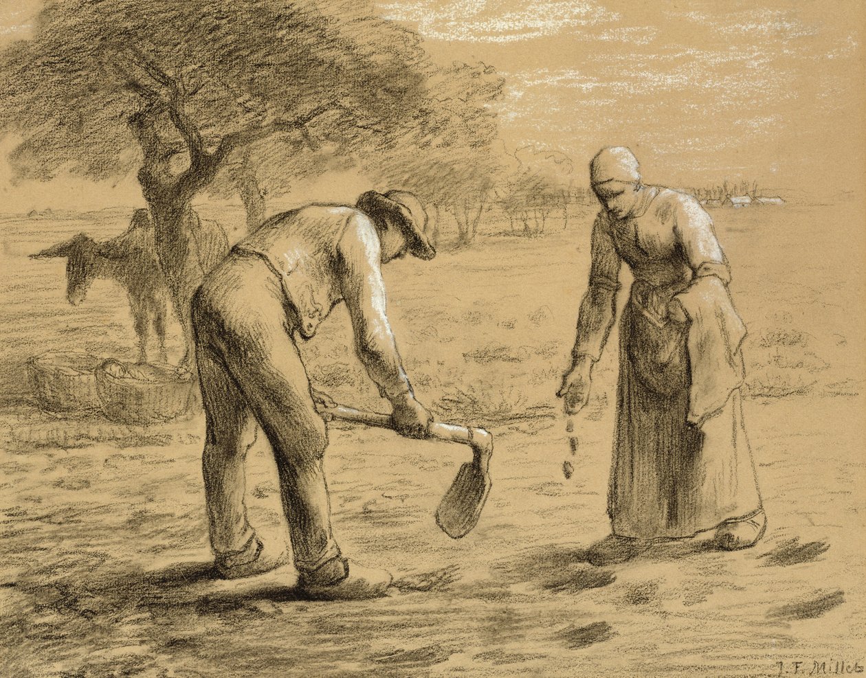 Chłopi sadzący ziemniaki (ołówek i kreda na papierze) autorstwa Jean Francois Millet
