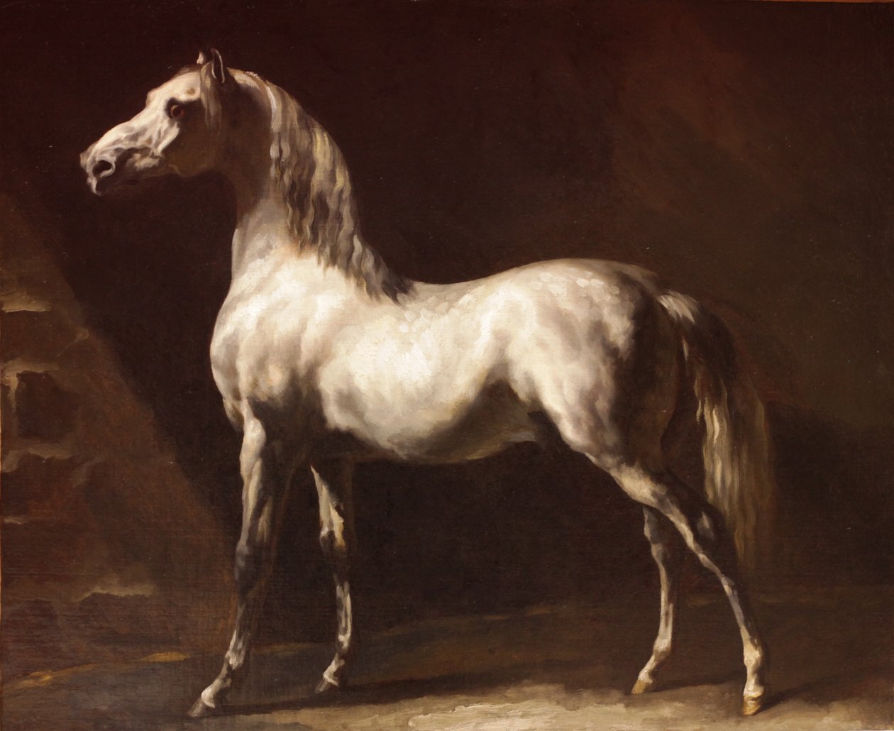 Szaro-biały koń arabski autorstwa Theodore Gericault