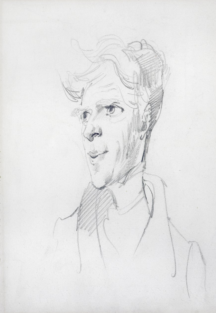 Portret hrabiego d