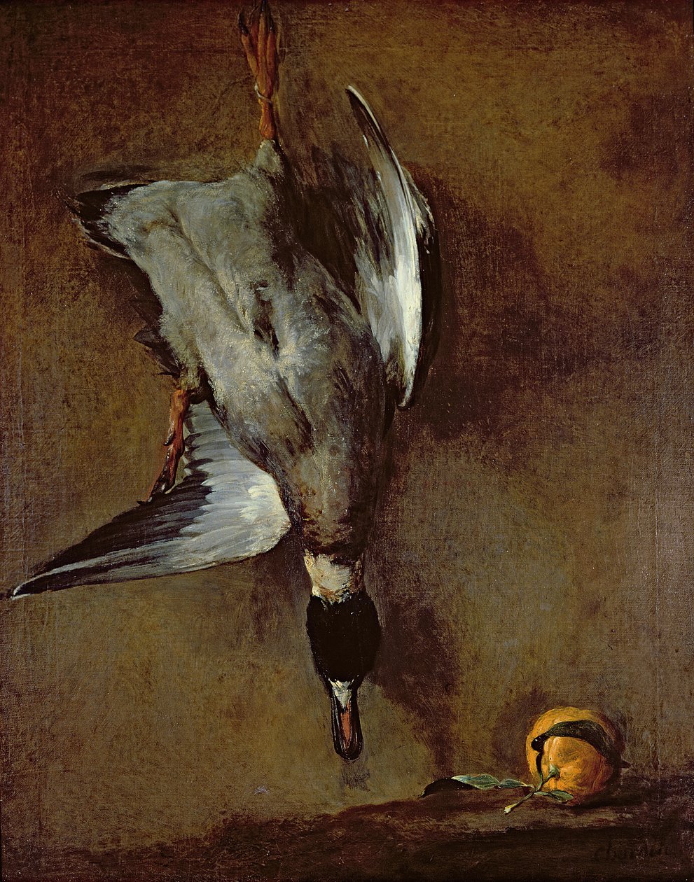 Kaczka krzyżówka wisząca na ścianie z pomarańczą sewilską, 1720-30 olej na płótnie) autorstwa Jean Baptiste Simeon Chardin