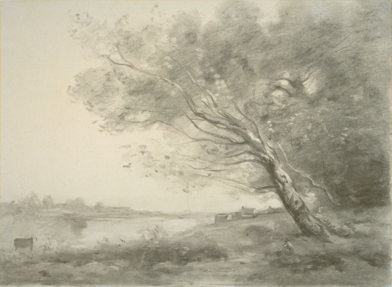 Wygięte Drzewo nad Wodą autorstwa Jean-Baptiste-Camille Corot