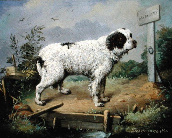 Nowofundland na nasypie autorstwa Jean Baptiste Desgrange