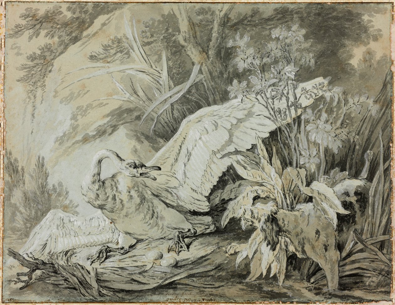 Dziki łabędź zaatakowany przez psa autorstwa Jean-Baptiste Oudry