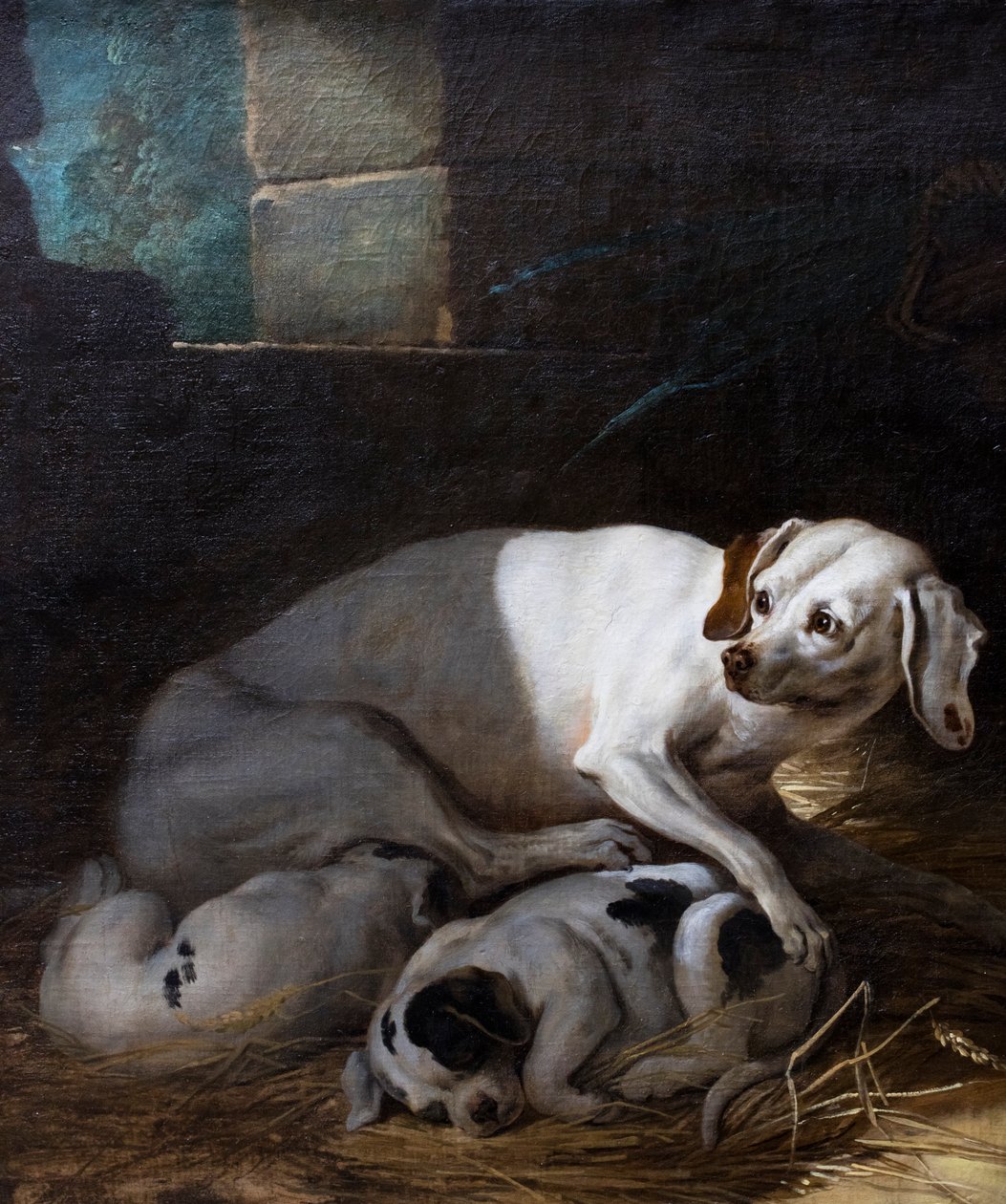  autorstwa Jean-Baptiste Oudry